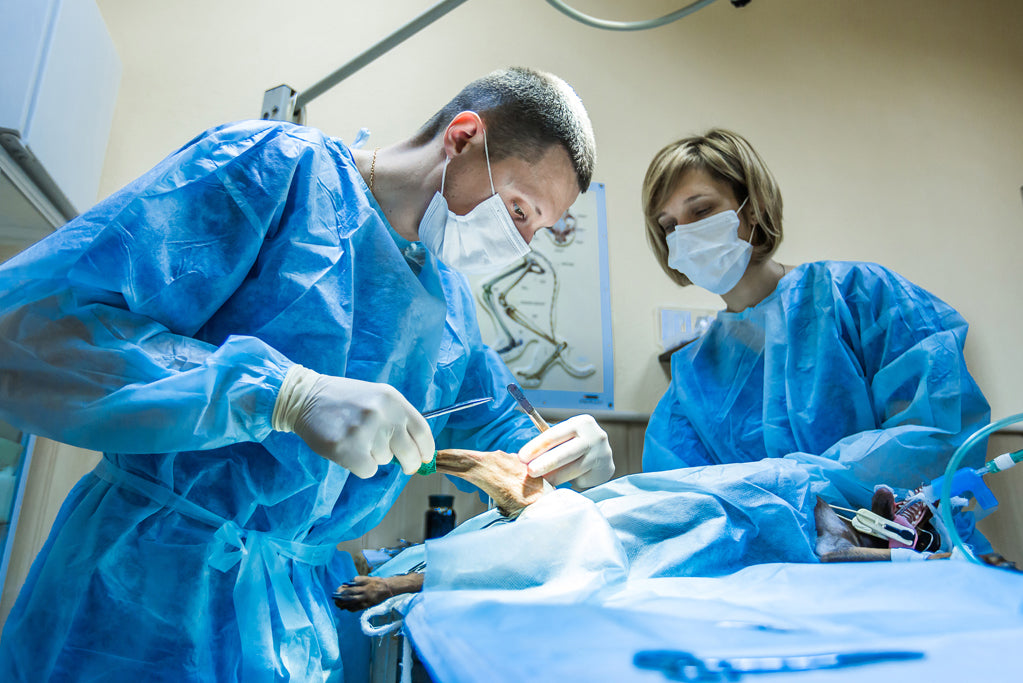Veterinary Surgical Drape Roll