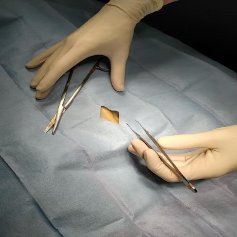 Veterinary Surgical Drape Roll - 200 yards! Telesto Products LLC
